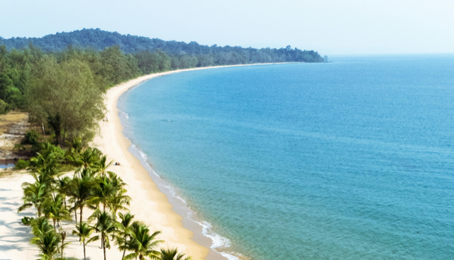 Aerial View of Tropical Beach with Palm Trees